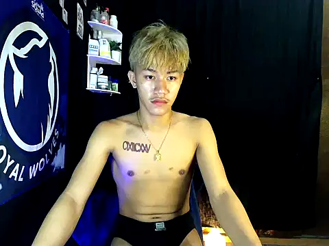 naughtyboyloy 0 online show from 14, 11, 2025