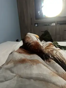 Xarkomm online show from 28, 2, 2026