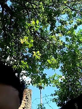 Snapshot of novinho_safado__ chatting on 5, 12, 2025 novinho safado online show from 5, 12, 2025