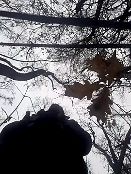  SteSNekA 23  online show from 12, 11, 2025