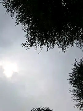 Desiandaj online show from 28, 11, 2025