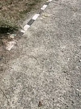 Desiandaj online show from 30, 11, 2025