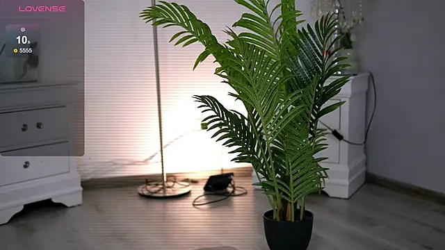 HotMollyX online show from 11, 1, 2026