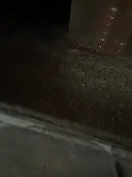 Snapshot of Elpitogrande1238 chatting on 21, 6, 2026 Elpitogrande1238 online show from 21, 6, 2026