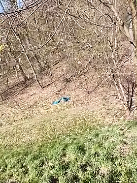 Snapshot of kot766 chatting on 7, 4, 2026 kot766 online show from 7, 4, 2026