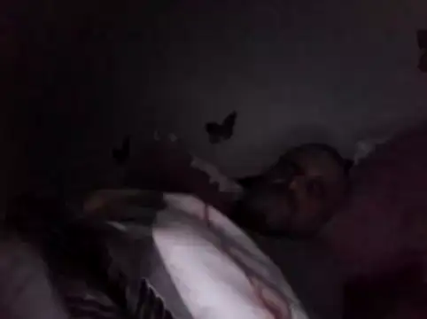 Hisnimin online show from 18, 2, 2026