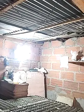 hoteder online show from 18, 12, 2025