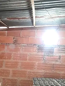 hoteder online show from 20, 3, 2026