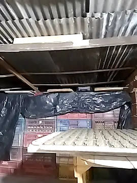 hoteder online show from 23, 12, 2025