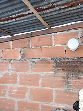 hoteder online show from 17, 1, 2026