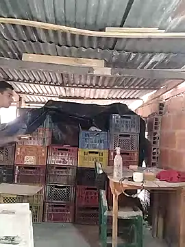 hoteder online show from 24, 3, 2026