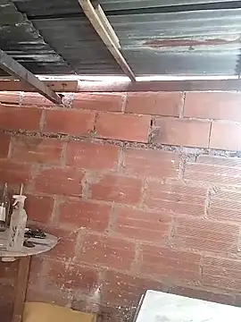 hoteder online show from 23, 3, 2026