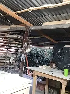 hoteder online show from 17, 3, 2026