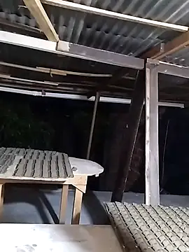 hoteder online show from 24, 11, 2025