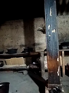 Ruaiuoi online show from 11, 3, 2026