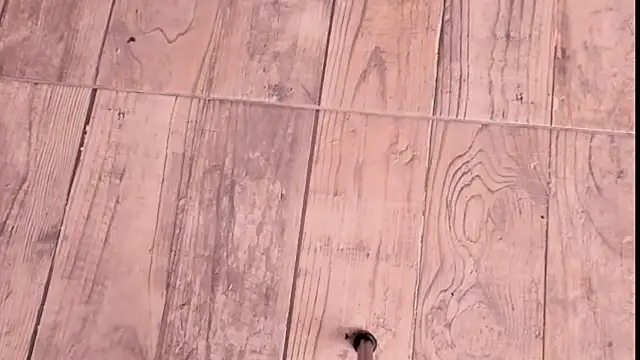 ZYZZ1312 online show from 19, 12, 2025