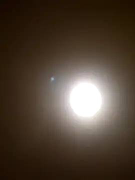 svenni2525 online show from 1, 12, 2025