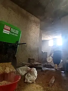 ezgi2545 online show from 2, 3, 2026