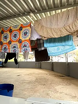 Morenocasado34liberal online show from 3, 11, 2025