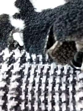 Laxmi 89 online show from 19, 12, 2025