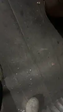 longfuckk online show from 22, 11, 2025