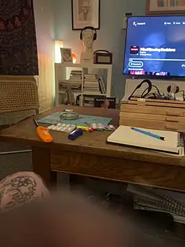 Roydie44 online show from 31, 1, 2026