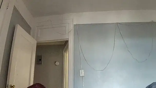 puddled wonderland online show from 24, 10, 2025