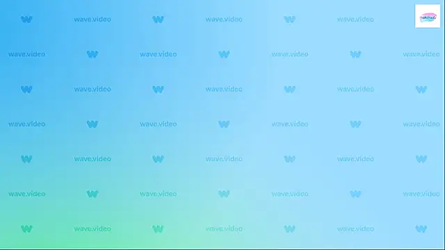 puddled wonderland online show from 9, 9, 2025