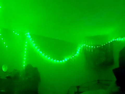 puddled wonderland online show from 30, 11, 2025