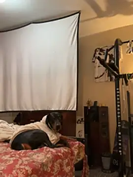 KeYBuMp323 online show from 13, 2, 2026