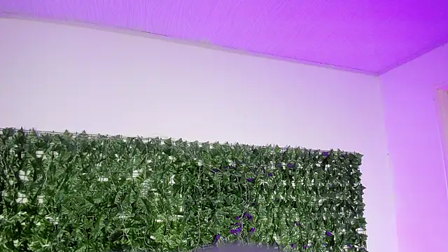 BellaRoux1 online show from 27, 2, 2026