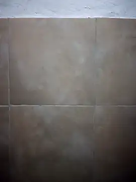 Chingasexo online show from 17, 4, 2026