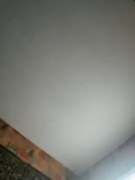 Romashka33011 online show from 29, 10, 2025