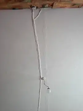 Romashka33011 online show from 24, 2, 2026