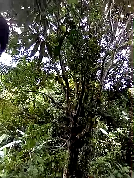 moreno25centimetro online show from 4, 2, 2026