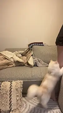 misa mo online show from 10, 4, 2026