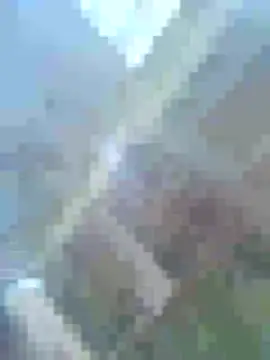 Rabit-chuc online show from 14, 9, 2025