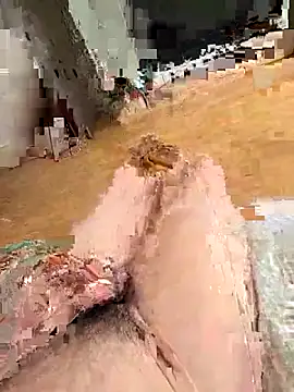 renhedhr online show from 3, 11, 2025