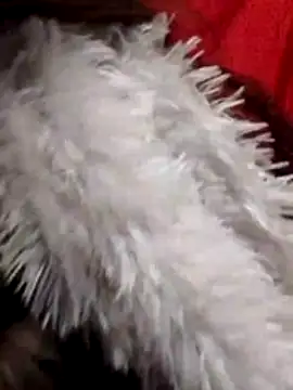 Babe Doll04 online show from 7, 1, 2026