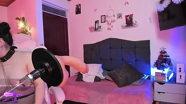 Fia   online show from 24, 11, 2025