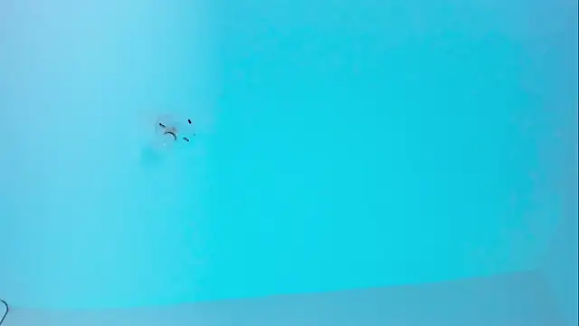 Ellope  online show from 19, 11, 2025