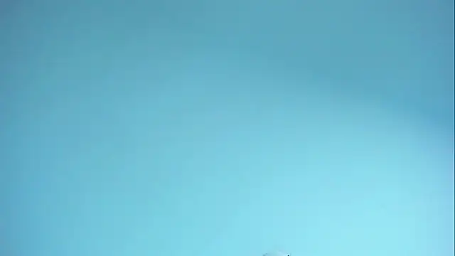 Im naho online show from 4, 4, 2026