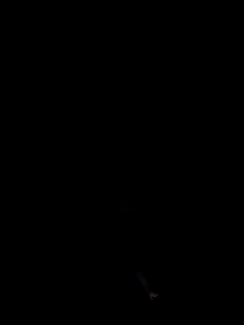 cumitted online show from 2, 11, 2025