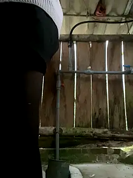 PhanHaa online show from 6, 1, 2026