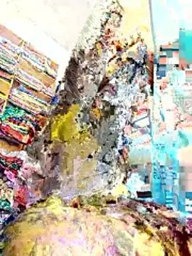 Bhavna hot online show from 28, 11, 2025