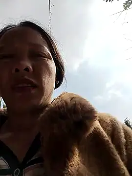 Sinejdk3 online show from 2, 12, 2025