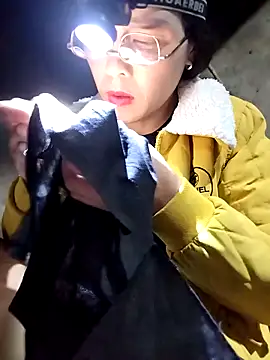 Sinejdk3 online show from 6, 2, 2026