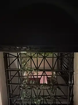 Juann-cock online show from 2, 6, 2026
