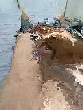 wrdew online show from 13, 1, 2026