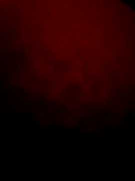 Snapshot of Seksimmm22 chatting on 5, 11, 2025 Seksimmm22 online show from 5, 11, 2025